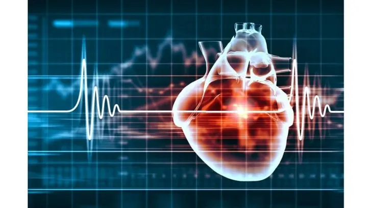 Illustration of a heart with an ECG trace across a monitor