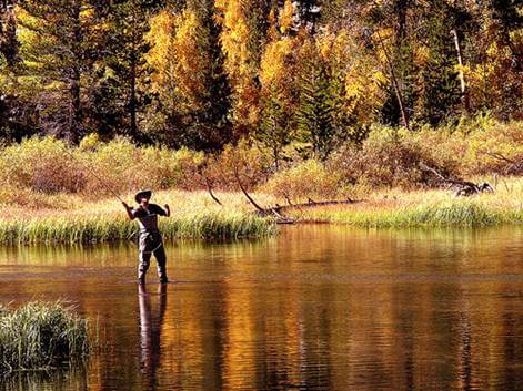 man fly fishing
