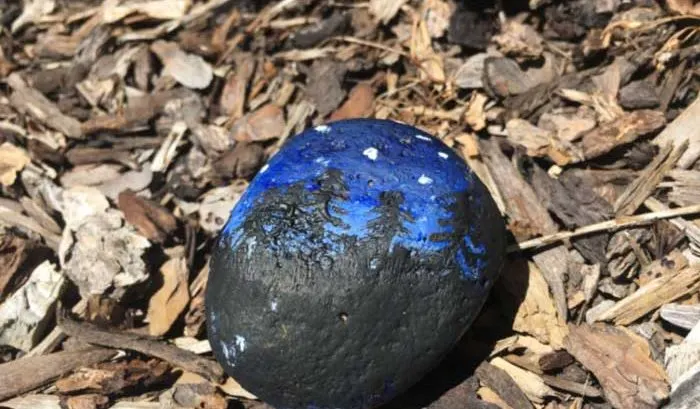 Painted blue and black rock resting on bark chips