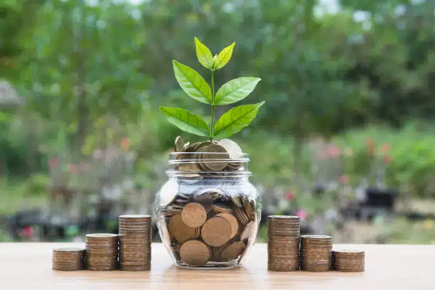 Seedling growing from a jar of coins beside stacks of coins