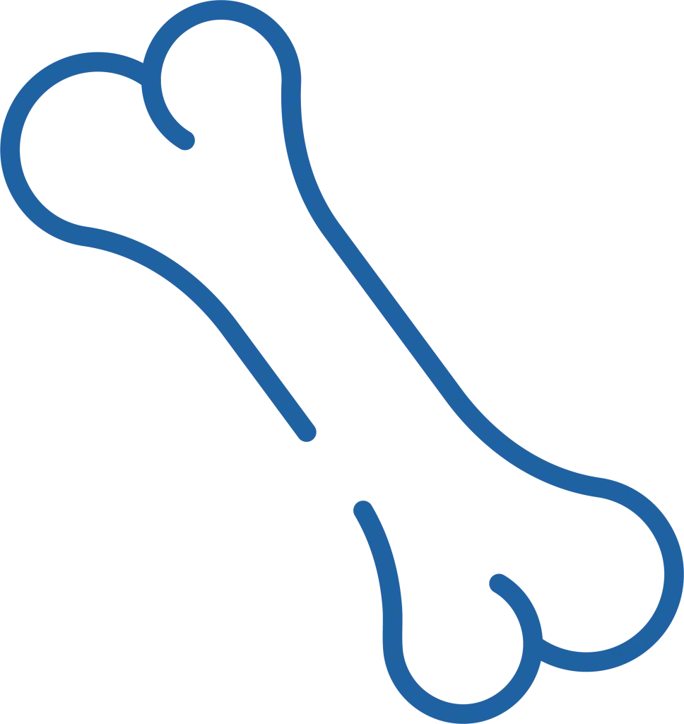 Icon of a bone, used for orthopedic services