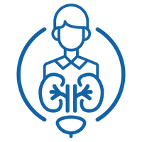 Line icon of a patient with kidneys highlighted, used for kidney care services