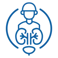 Line icon of a person with kidneys highlighted, used for urology services