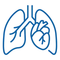 Line icon of a pair of lungs, used for respiratory services