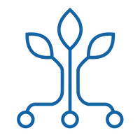 Line icon of a plant growing from branching roots, used for personal growth